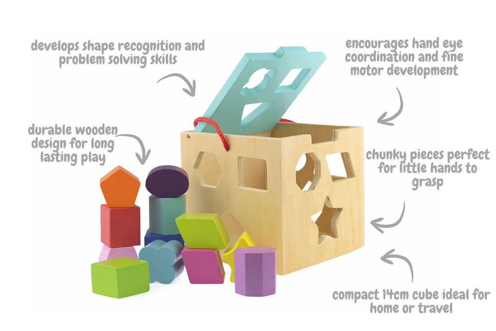 SHAPE SORTER WITH 12 PCS WOODEN BLOCKS
