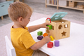 SHAPE SORTER WITH 12 PCS WOODEN BLOCKS