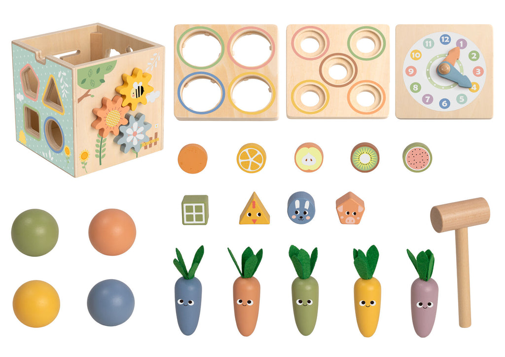 ACTIVITY CUBE
