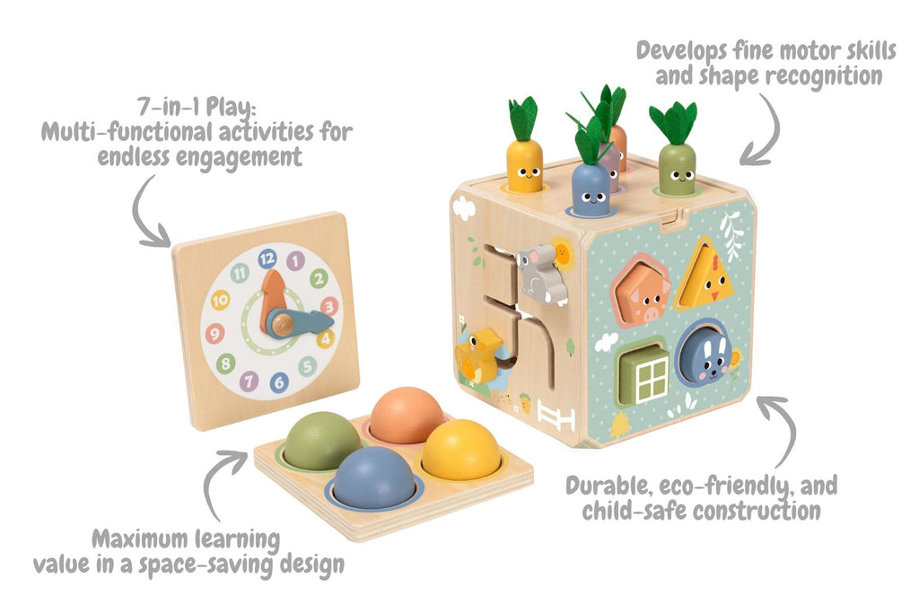 ACTIVITY CUBE